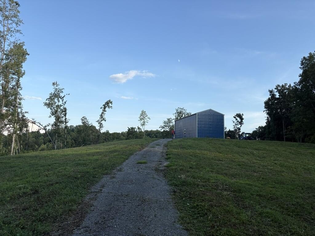 Picture 29