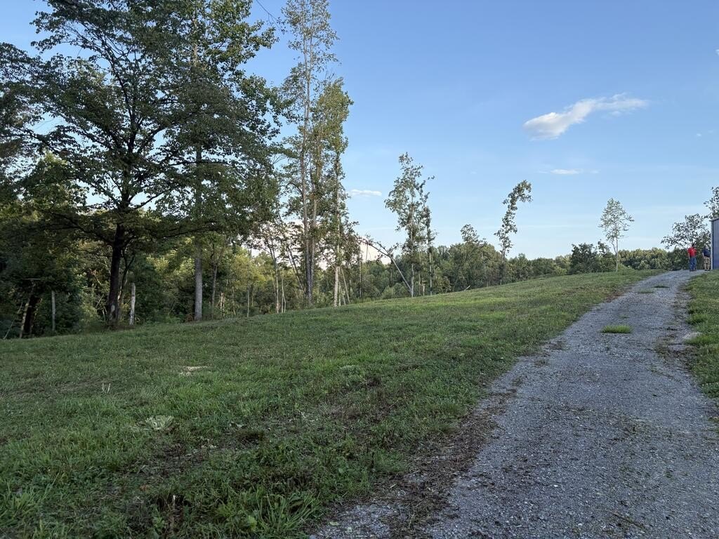 Picture 25