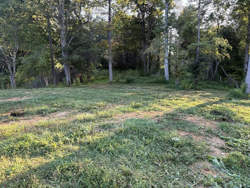 Picture 23