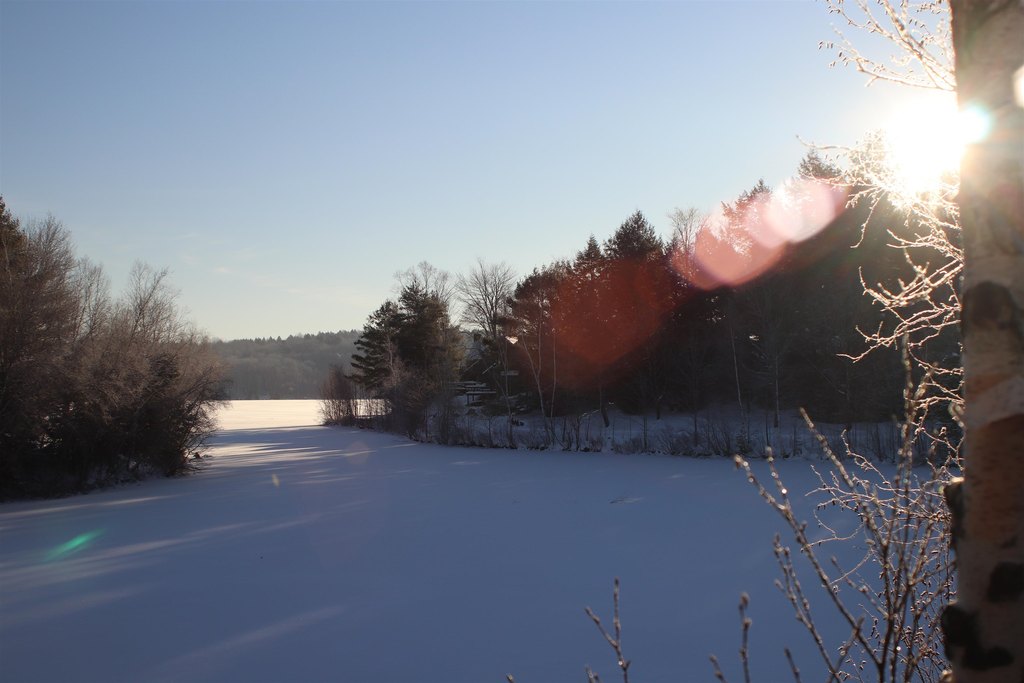 Picture 5