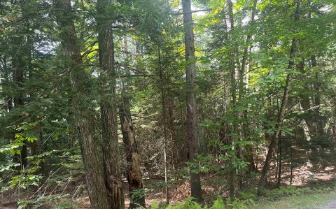 Residential Lot in Eastman Community