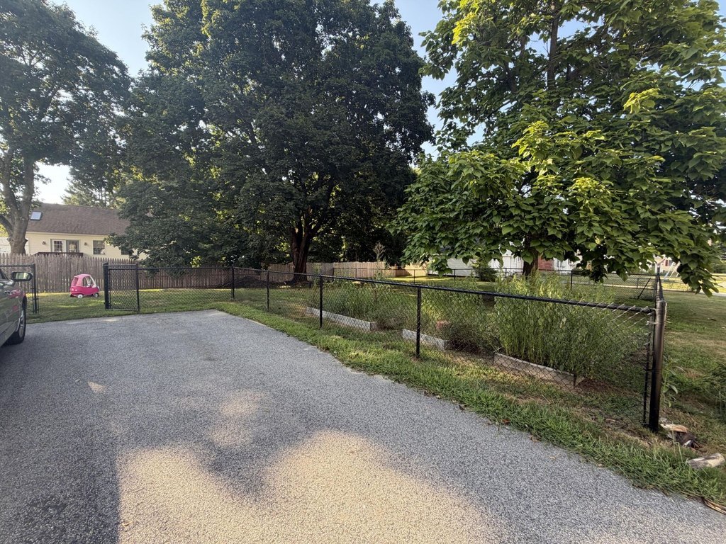 Picture 19