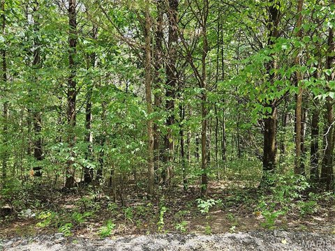 Land, Hillsboro, MO