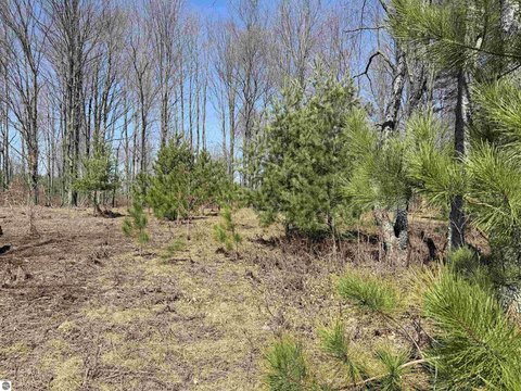 Wooded Recreation & Homesite Land