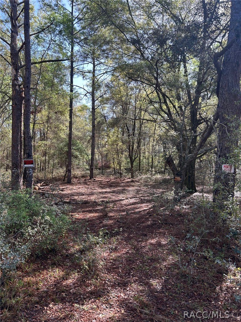 Citrus Springs Residential Lot