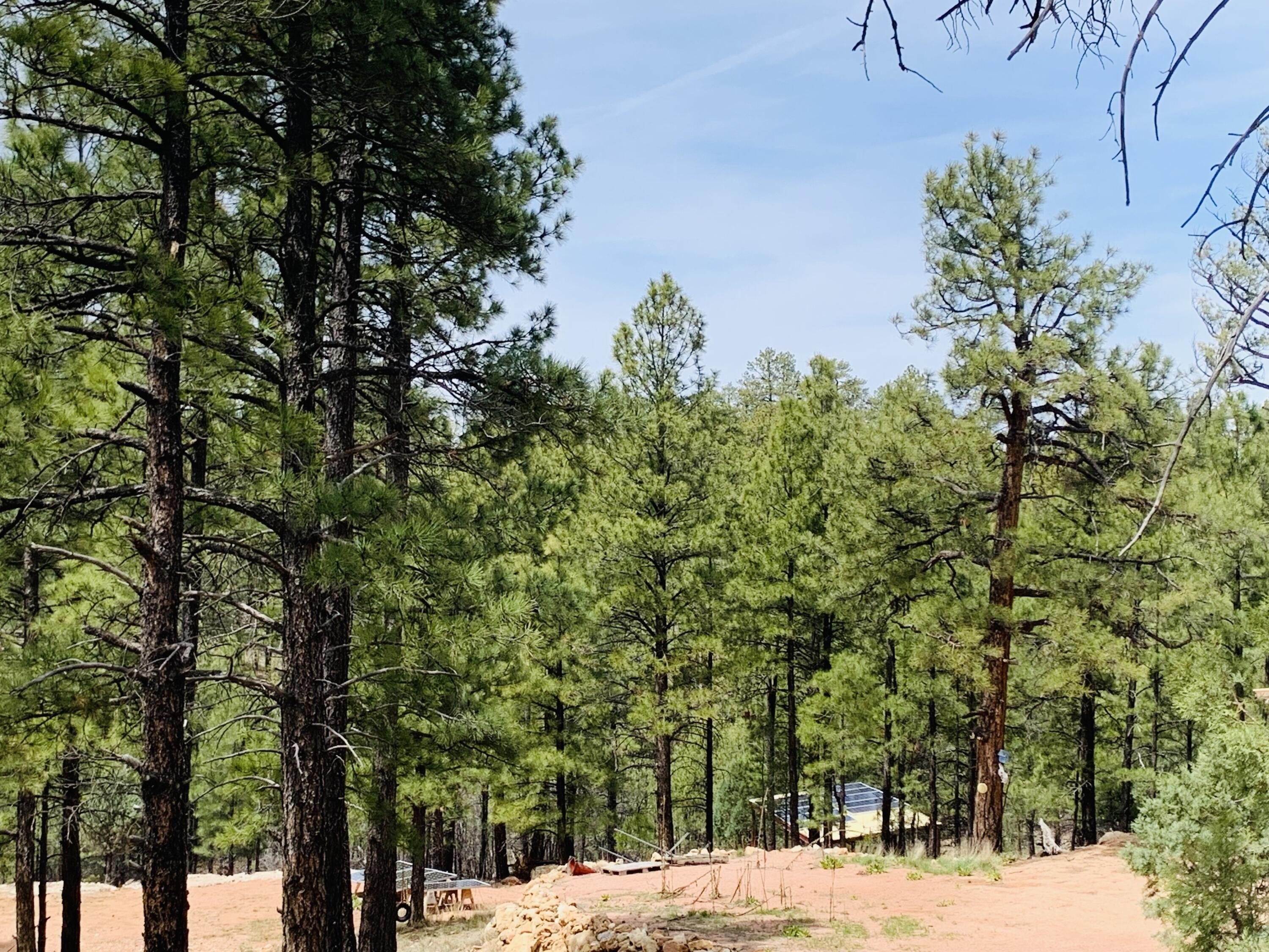 Happy Jack Acreage with Utilities
