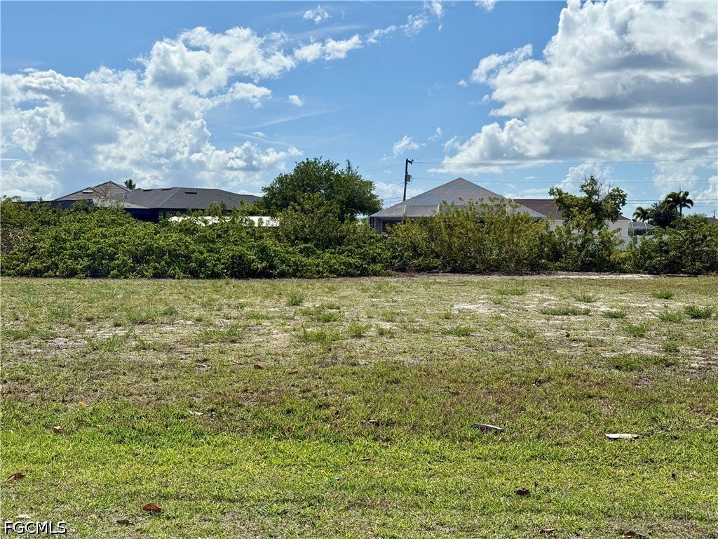 Picture 8