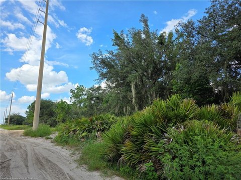 LAND - Avon Park, FL