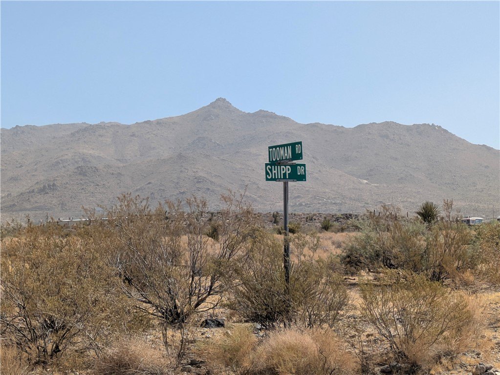 Picture 12