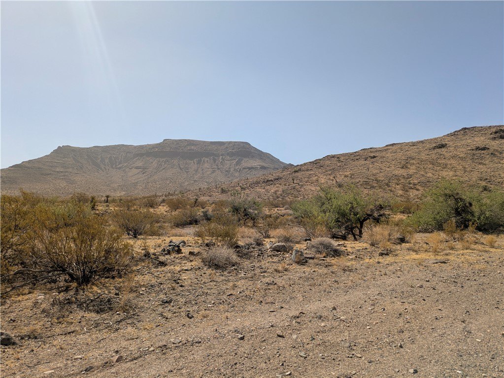 Picture 11