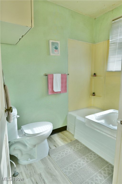 Picture 21