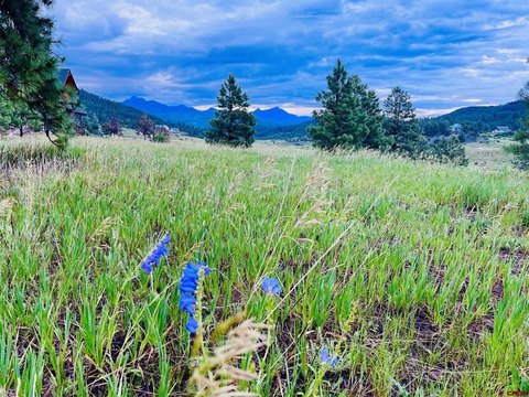 LAND - Pagosa Springs, CO