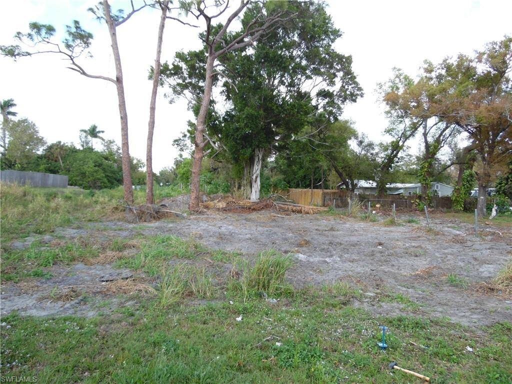 Picture 3