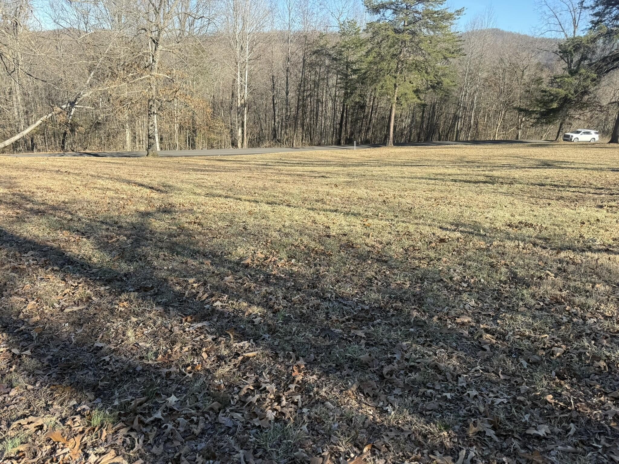 Cleared Lot in Albany, KY