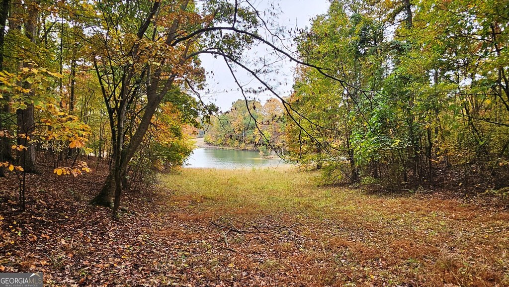 Picture 18