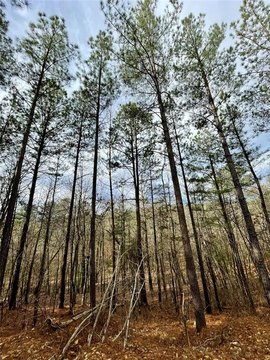 LAND - Broken Bow, OK