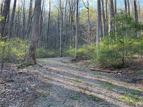 LAND - Fancy Gap, VA