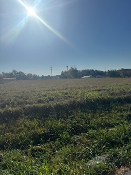 Land, Russell Springs, KY