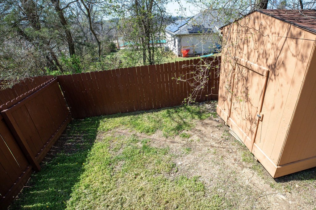 Picture 46