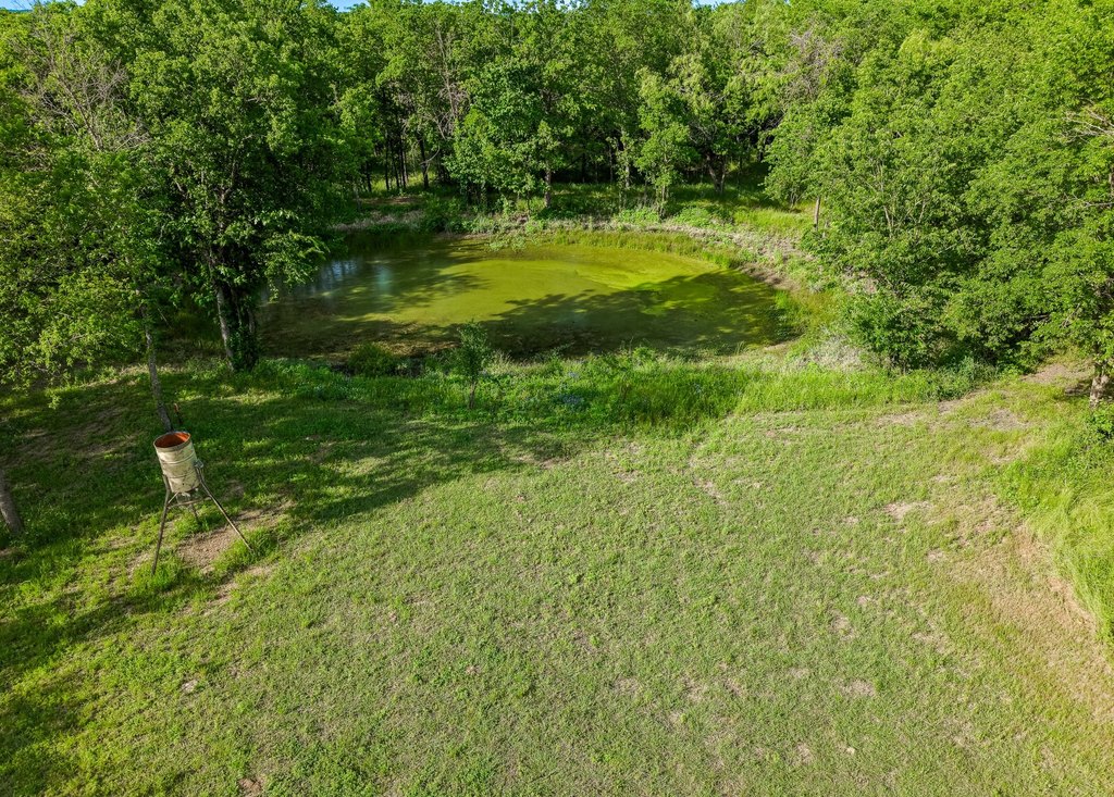 Picture 11