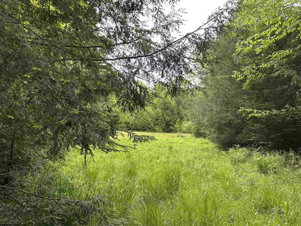Picture 9