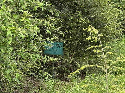 LAND - Davis, WV
