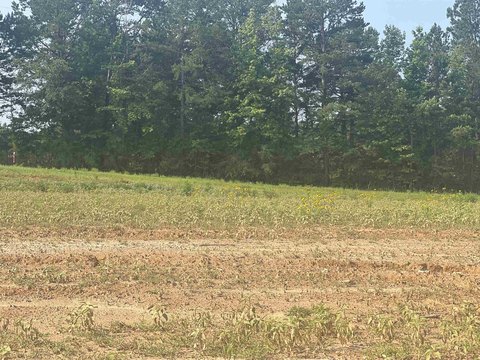 LAND - Hallsville, TX