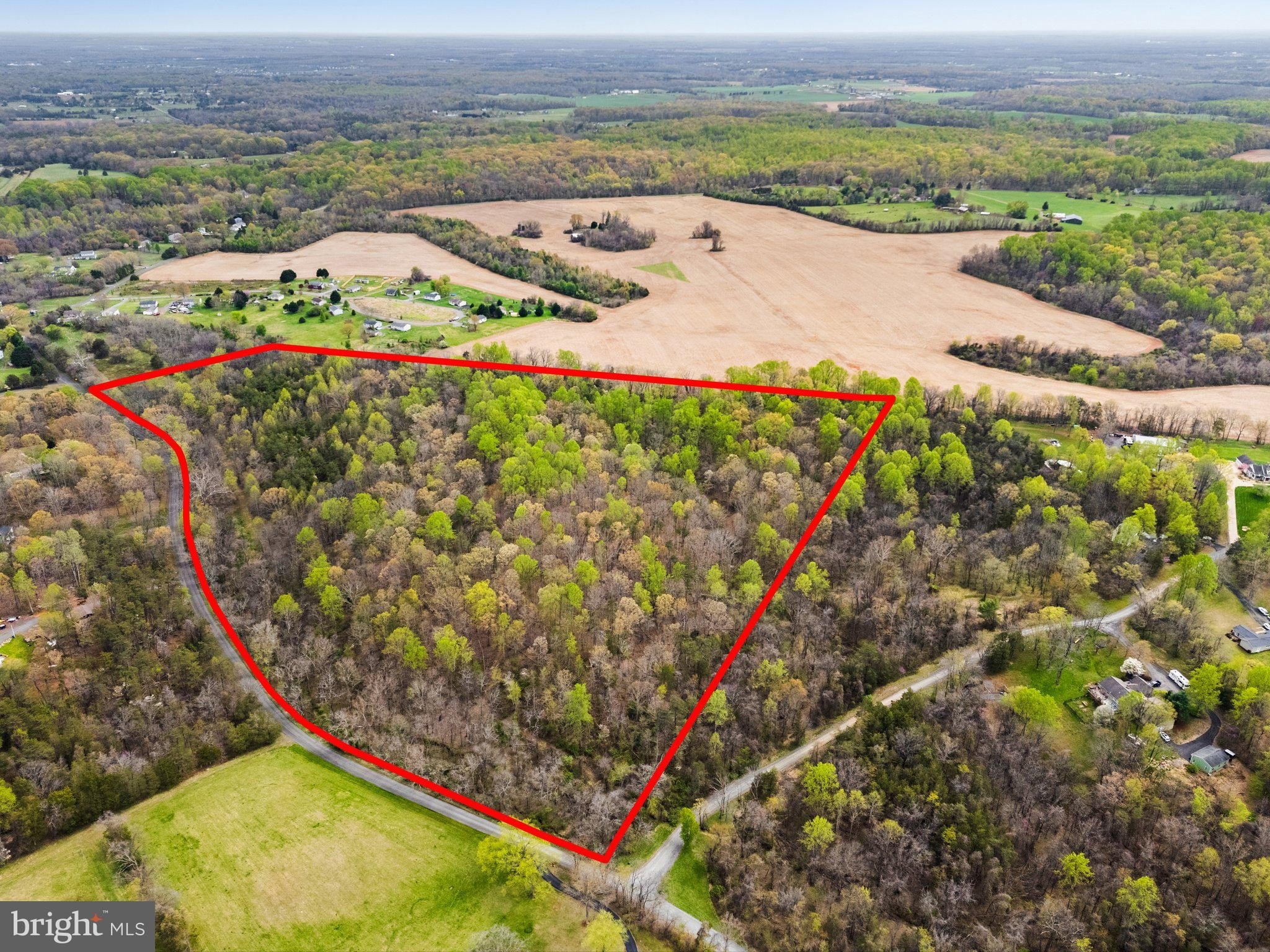 34 Acres of Treed Land