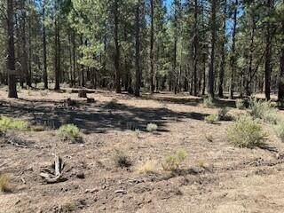 Wooded Land in Sprague River