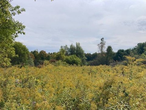 13-Acre Vacant Land in Rome