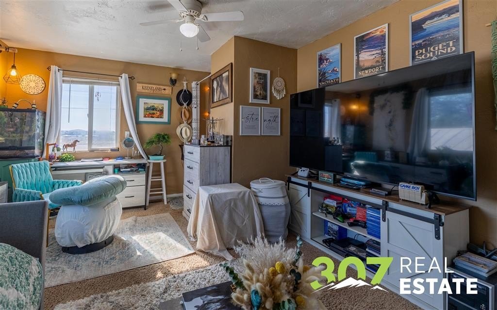 Picture 19