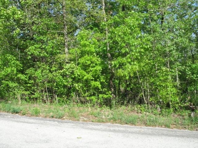 Cherokee Village Land Opportunity