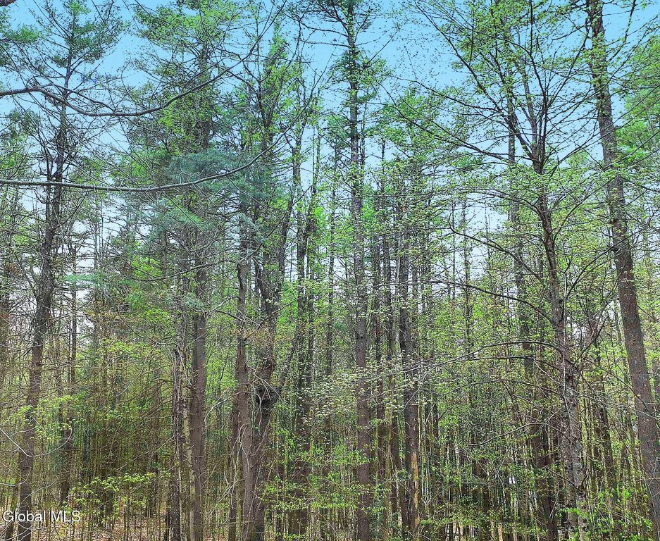 Picture 21