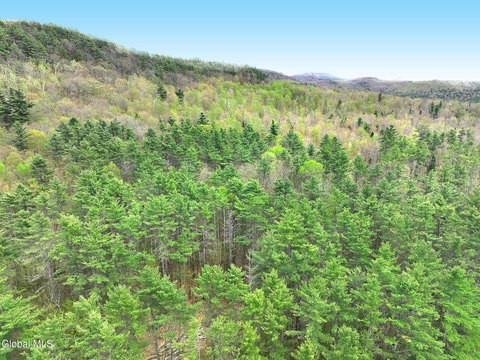 Vacant Land Parcel in Warrensburg