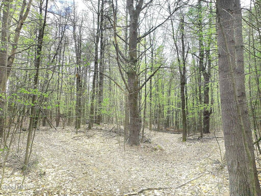 Picture 27