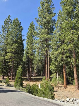 Land in Gated Grizzly Ranch
