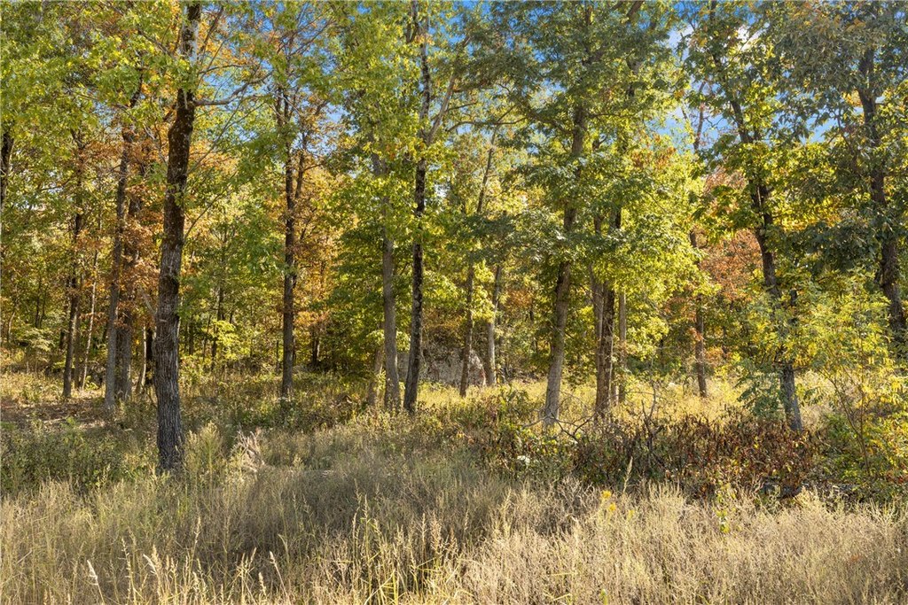 Picture 42