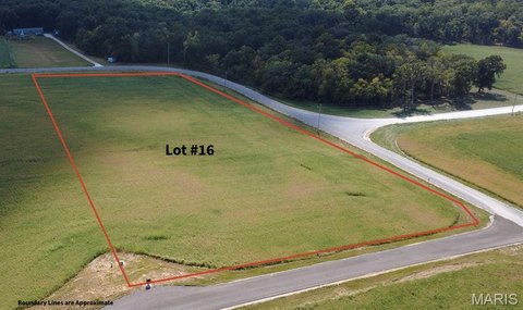 Buildable Equestrian Land with Road Access