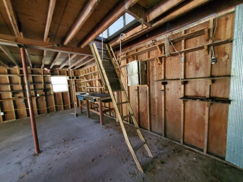 Picture 5
