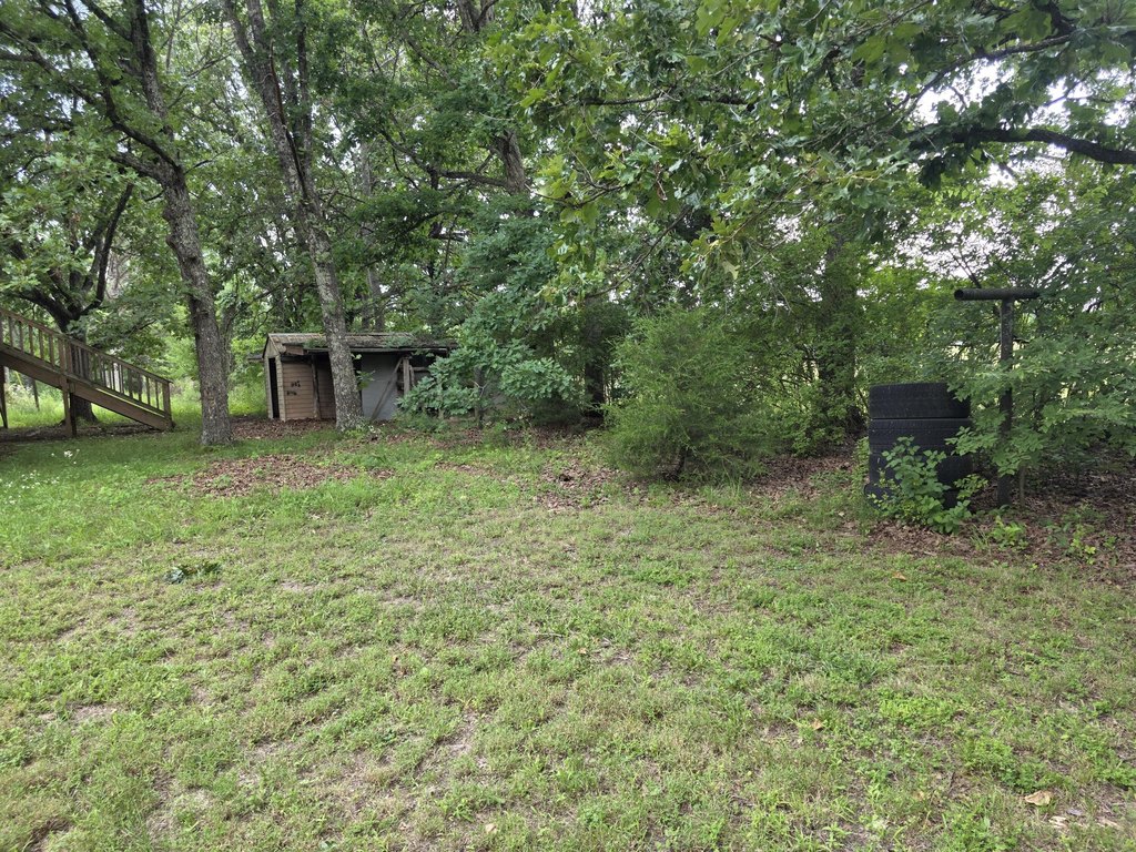 Picture 12
