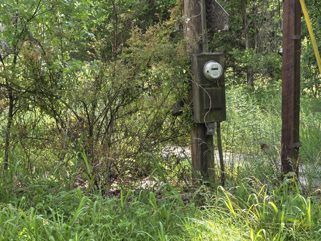 Picture 16