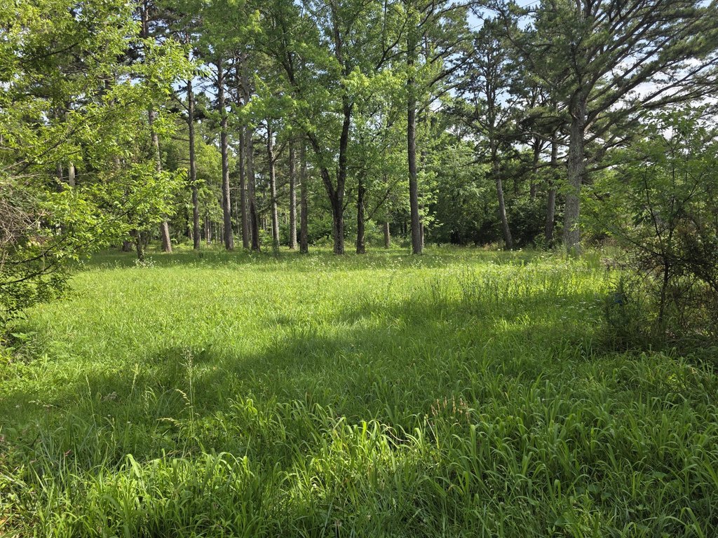 Picture 10