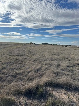 Land, Guymon, OK