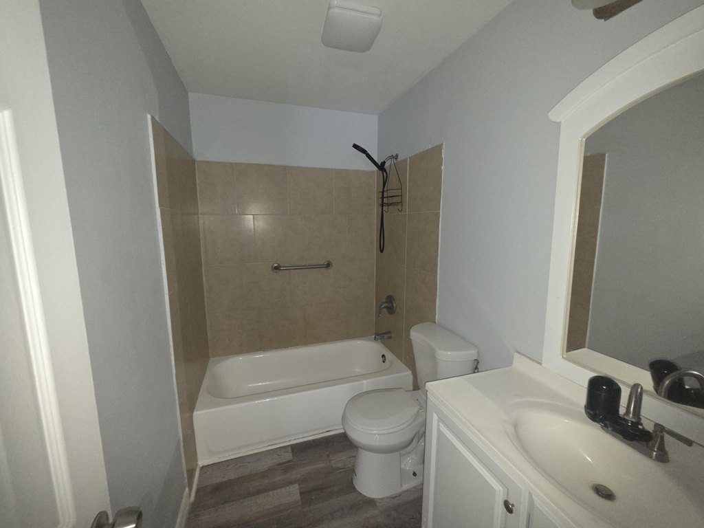 Picture 6