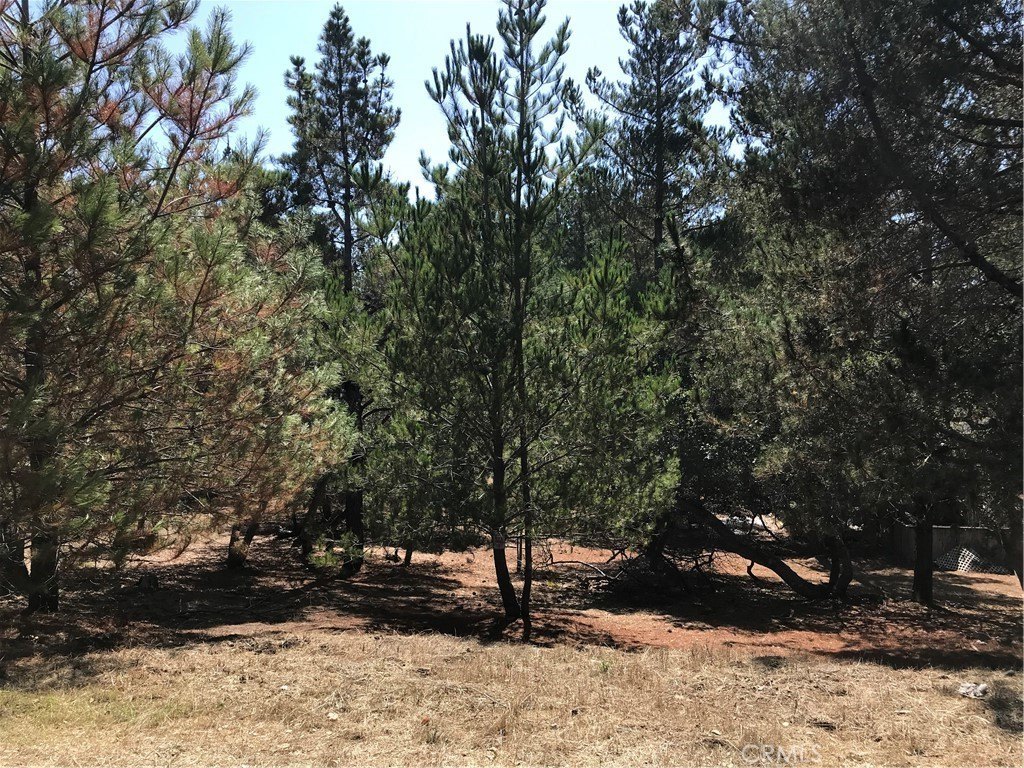 Picture 6