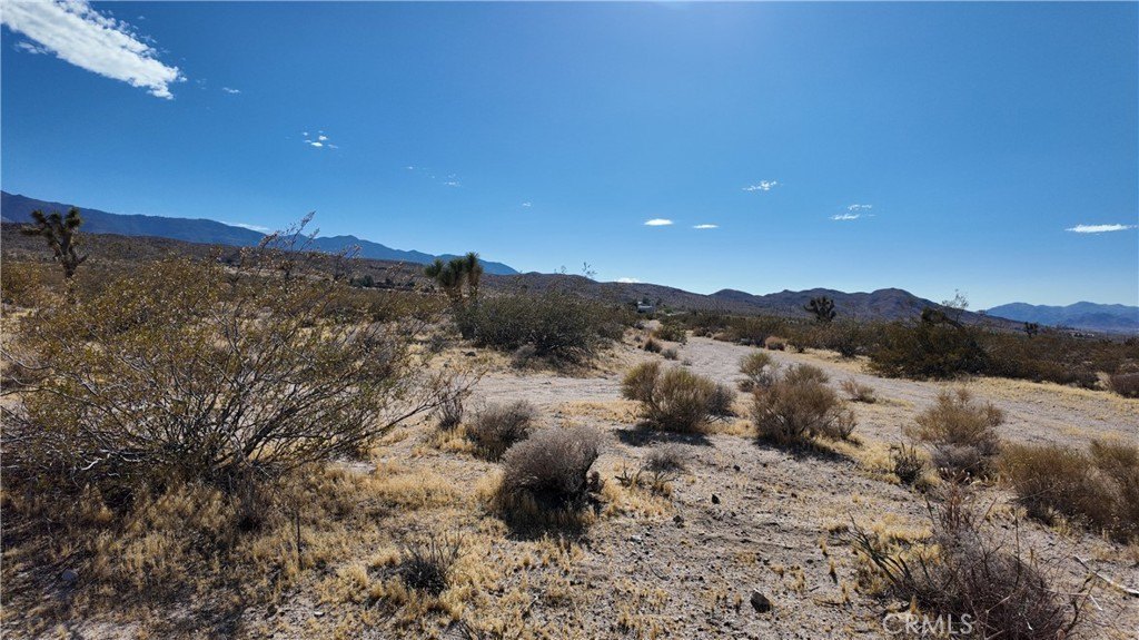 Picture 25