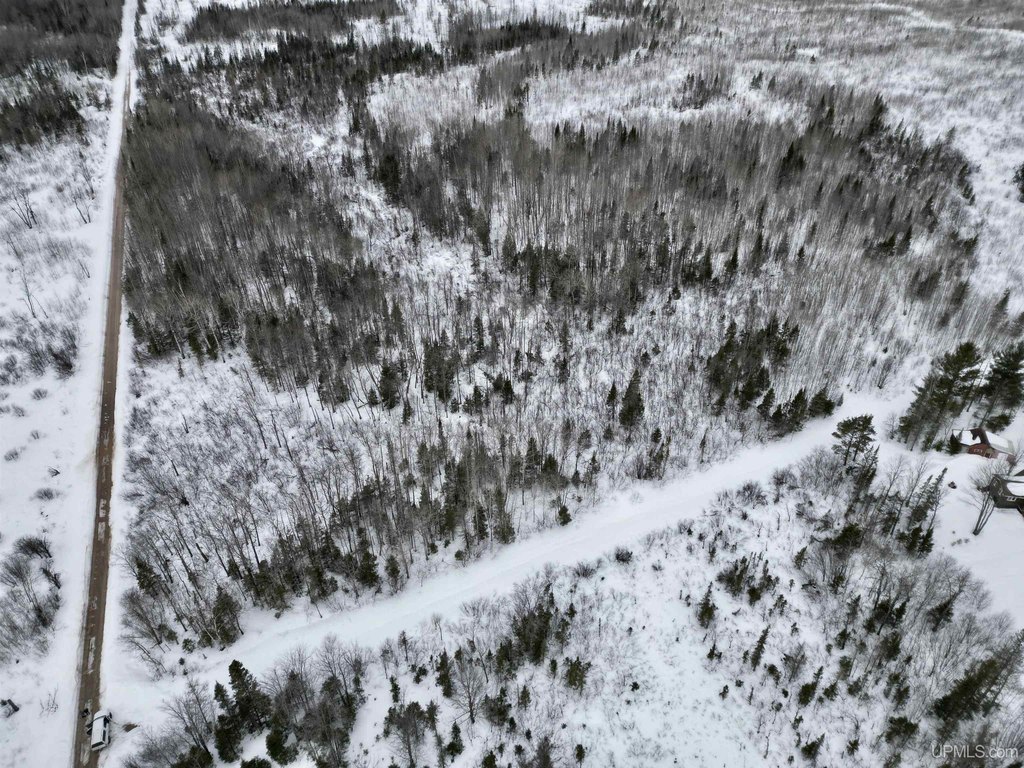 Picture 4