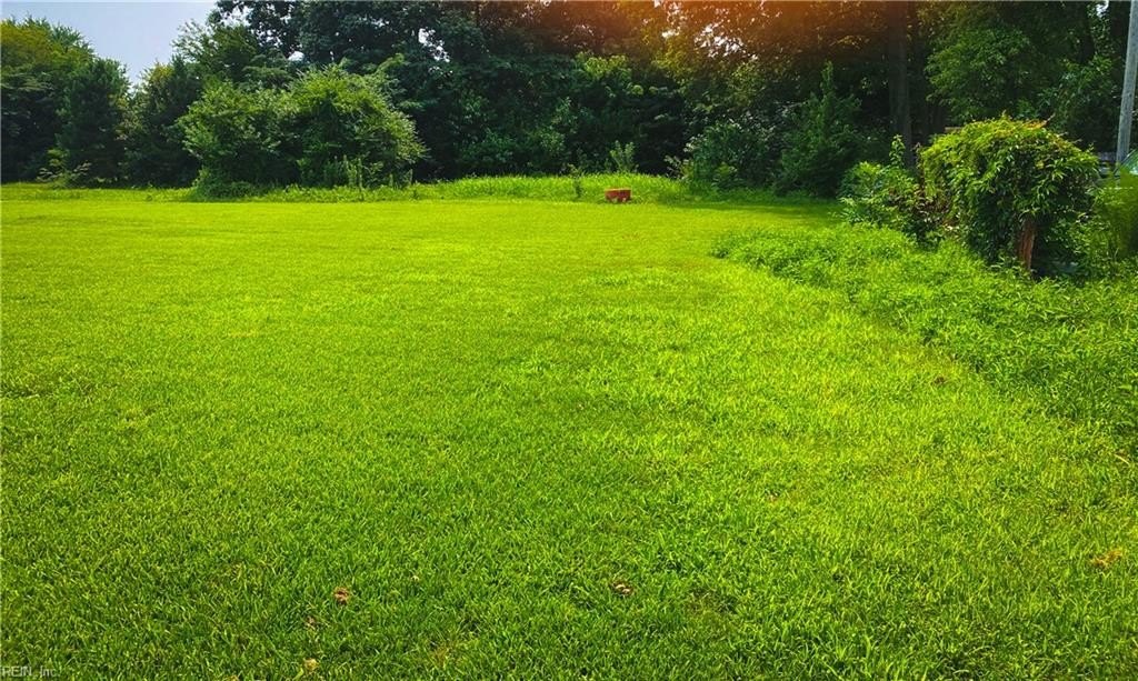 Picture 3