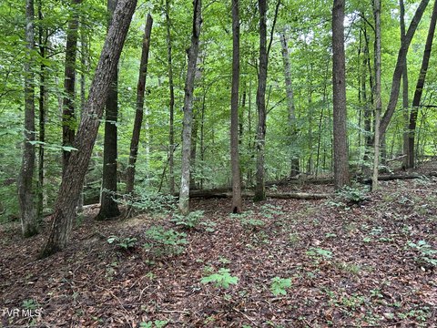LAND - Surgoinsville, TN