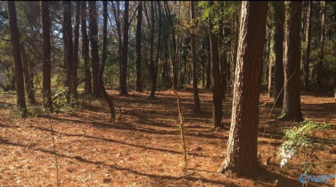 LAND - Huntsville, AL